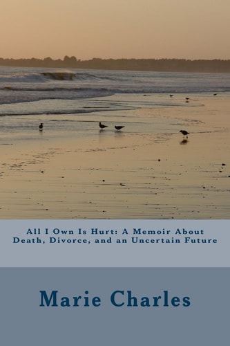 All I Own Is Hurt A Memoir About Death, Divorce, and an Uncertain Future