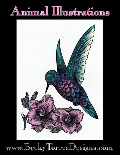 Animal Illustrations