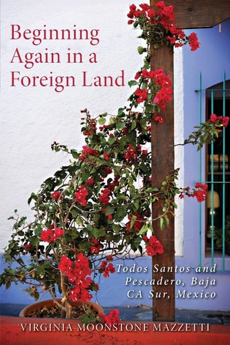 Beginning Again in a Foreign Land Todos Santos and Pescadero, Baja California Sur, Mexico