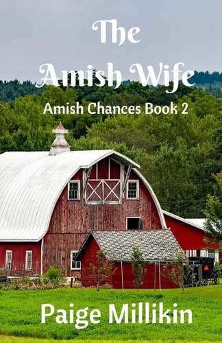 The Amish Wife Amish Chances Book 2
