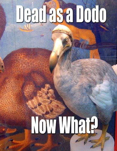 Dead As a Dodo - Now What? Important Info You'll Need Once I'm Gone