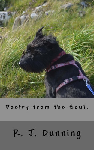 Poetry from the Soul