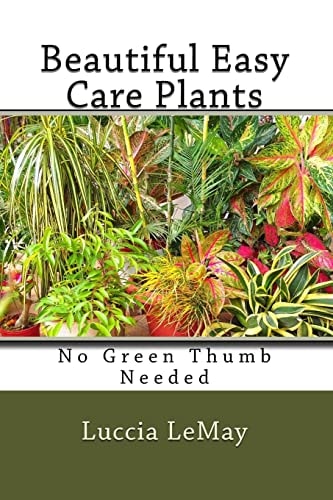 Beautiful Easy Care Plants No Green Thumb Needed