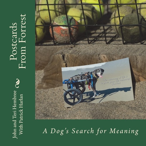 Postcards from Forrest A Dog's Search for Meaning