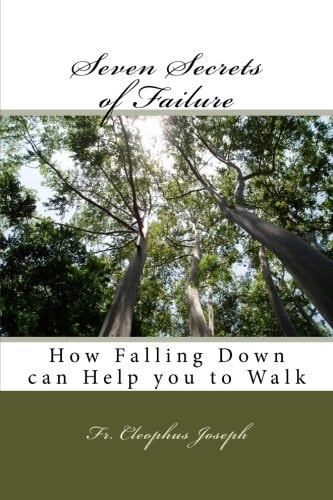 Seven Secrets of Failure How Falling Down Can Help You to Walk