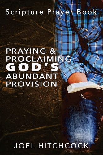 Praying and Proclaiming God's Abundant Provision Effectual Fervent Prayers and Proclamations of Faith for God's Abundant Provision