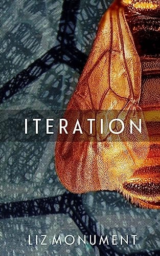 Iteration