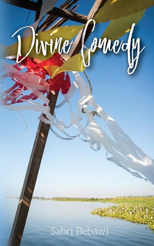 Divine Comedy