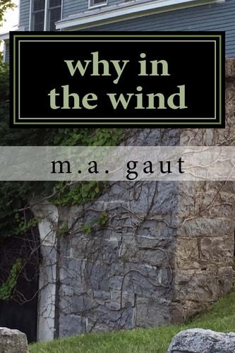 Why in the Wind