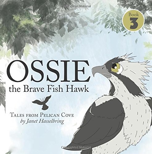 Ossie the Brave Fish Hawk