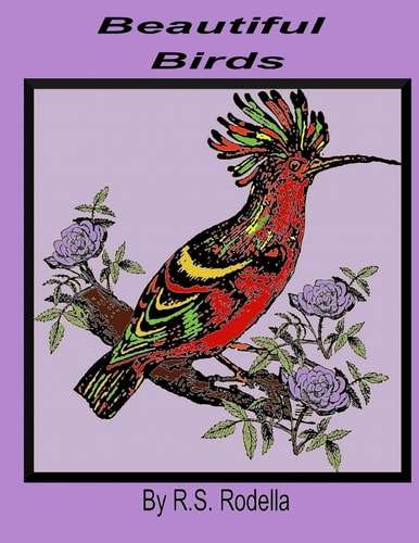 Beautiful Birds