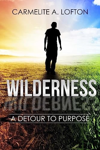 The Wilderness A Detour to Purpose