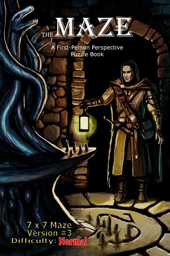 The Maze A First-Person Perspective Puzzle Book Normal 7x7 Version #3