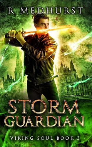Storm Guardian Viking Soul Book 3