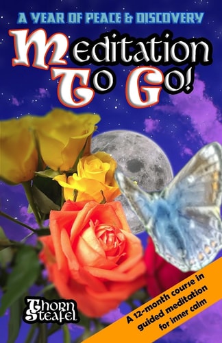 Meditation To Go! A Year of Peace and Discovery