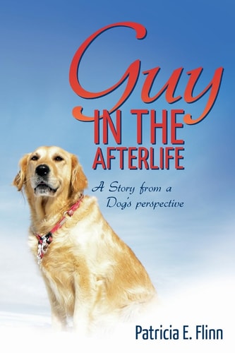 Guy in the Afterlife A Story from a Dog's Perspective