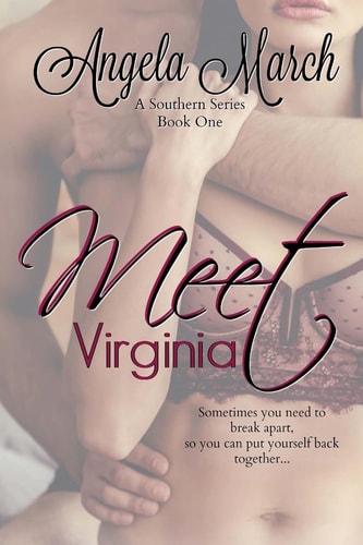 Meet Virginia Book One, A Southern Series
