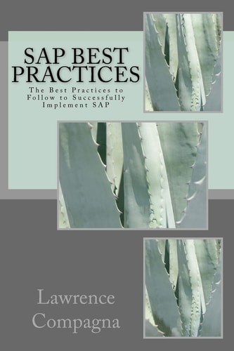 SAP Best Practices The Best Practices to Follow to Successfully Implement SAP