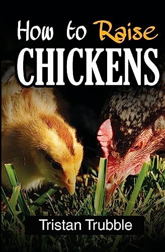 How To Raise a Chicken