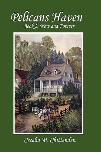 Pelicans Haven - Book II Now and Forever