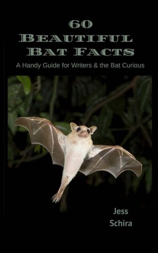 60 Beautiful Bat Facts A Handy Guide for Writers and the Bat Curious