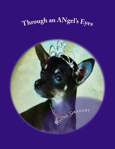Through an ANgel's Eyes How a Little Deaf Chihuahua Changed the World