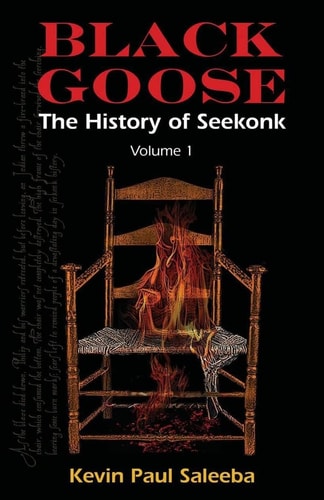 Black Goose : The History of Seekonk, Vol. 1