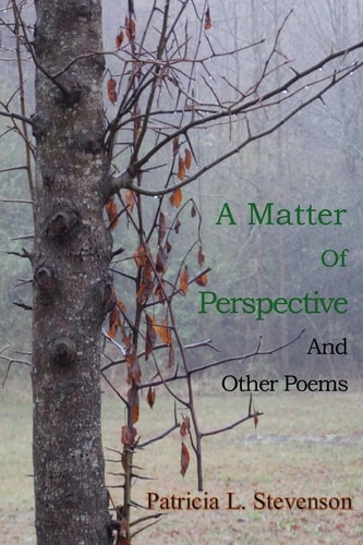 A Matter of Perspective And Other Poems