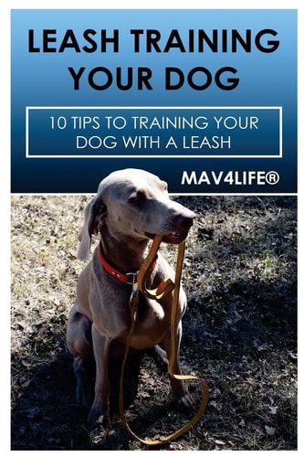 Leash Training Your Dog 10 Tips to Training Your Dog with a Leash