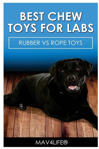 Best Chew Toys for Labs Rubber Vs Rope Toys