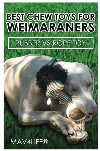 Best Chew Toys for Weimaraners Rubber Vs Rope Toy