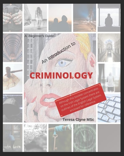 A Beginner's Guide - An Introduction to Criminology A Plain English Guide to Criminology