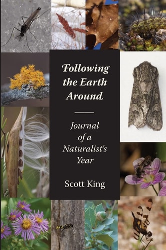 Following the Earth Around