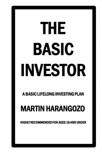 The Basic Investor A Basic Lifelong Investing Plan