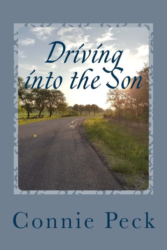 Driving Into the Son A Devotional for Those Who Make Their Living on the Road