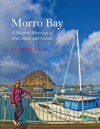 Morro Bay A Magical Marriage of Man Made and Nature