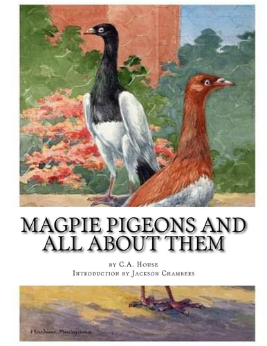Magpie Pigeons and All About Them A Guide To The Breeding and Exhibiting of Magpie Pigeons