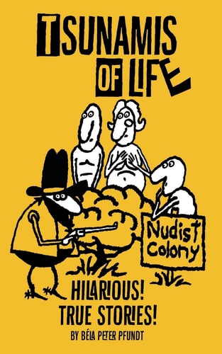 Tsunamis of Life True Hilarious Stories