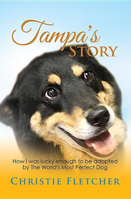 Tampas Story: Ow I Was Lucky Enough to Be Adopted by the Worlds Most Perfect Dog