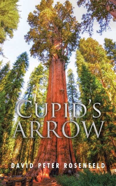 CupidS Arrow