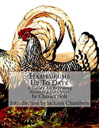 Hamburghs Up To Date A Guide To Breeding Hamburg Chickens