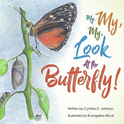 My, My, My! Look at the Butterfly
