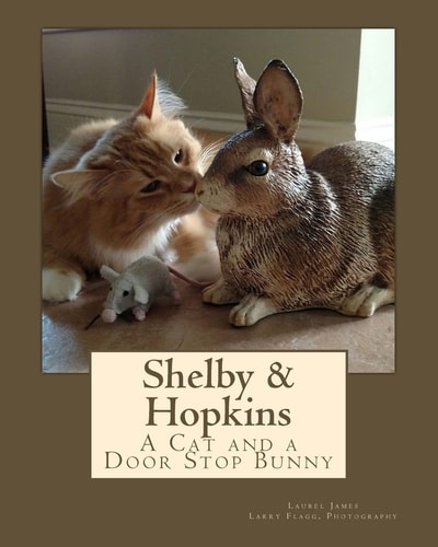 Shelby and Hopkins A Cat and a Door Stop Bunny