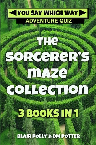 The Sorcerer's Maze Collection Three Books in One