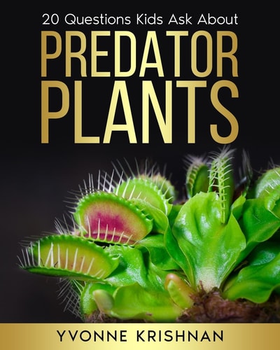 Predator Plants 20 Questions Kids Ask About Carnivorous Plants