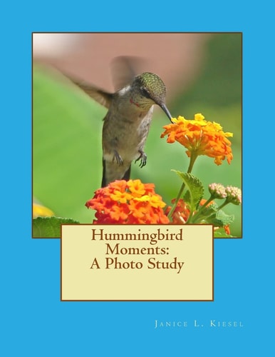 Hummingbird Moments: a Photo Study