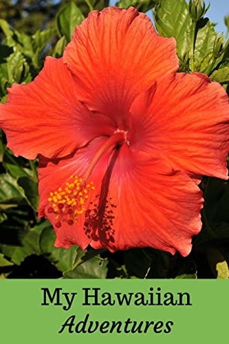 My Hawaiian Adventures A Travel Diary
