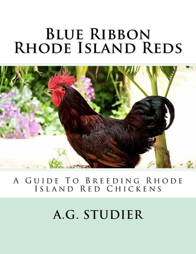 Blue Ribbon Rhode Island Reds A Guide To Breeding Rhode Island Red Chickens