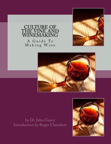Culture of the Vine and Winemaking A Guide To Making Wine