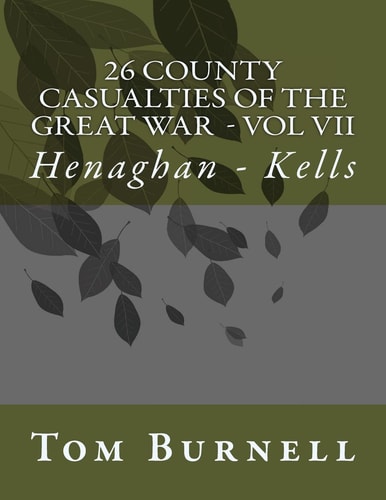 26 County Casualties of the Great War Volume VII Henaghan - Kells